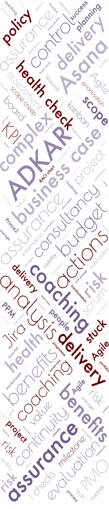 Wordcloud containing key words relating to programme and project management